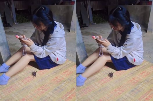 Đè nhau ra chịch sau khi ghé chơi